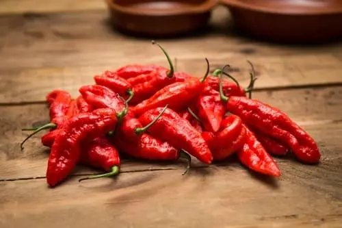 고스트페퍼 사진