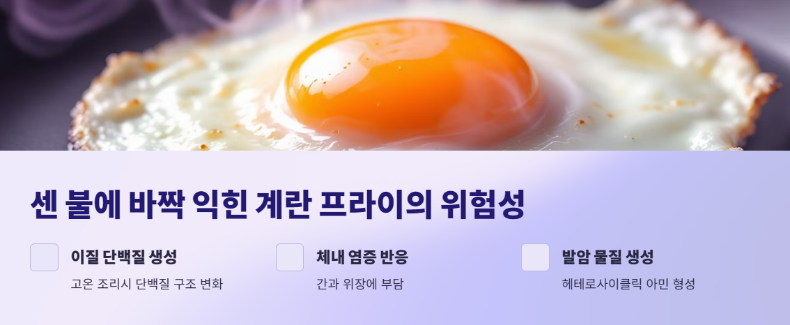 센 불에 바짝 익힌 계란 프라이의 위험성