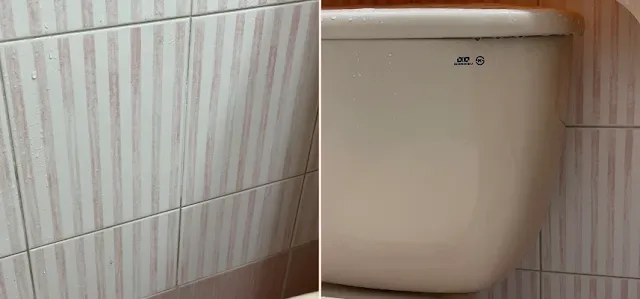 물로 행군 뒤 곰팡이가 제거된 모습