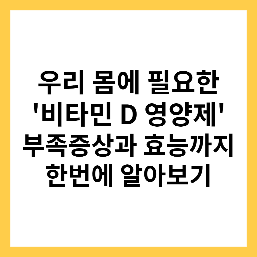 비타민D 추천