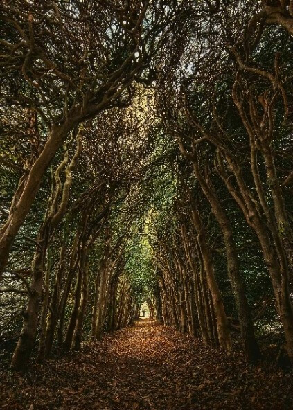 palette 사용방법