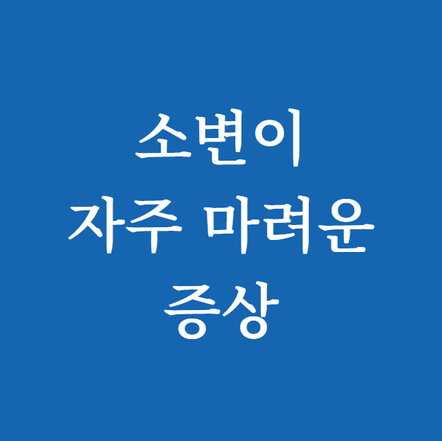 소변이 자주 마려운 증상 썸네일
