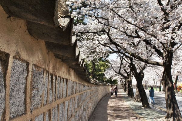 대릉원 돌담길 축제(출처: 경주시청)