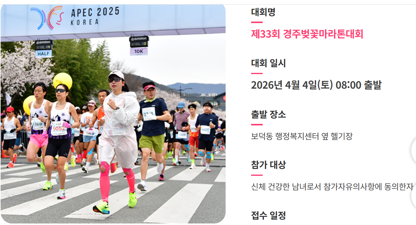 대회 접수 일정