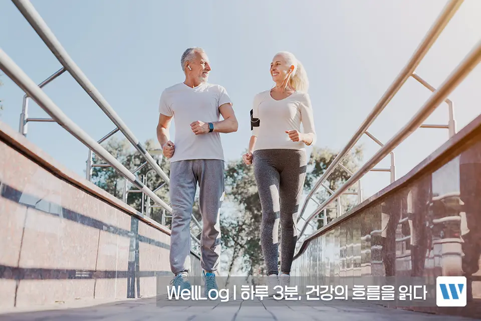 포스파티딜세린 효능 복용법 부작용 하루권장량