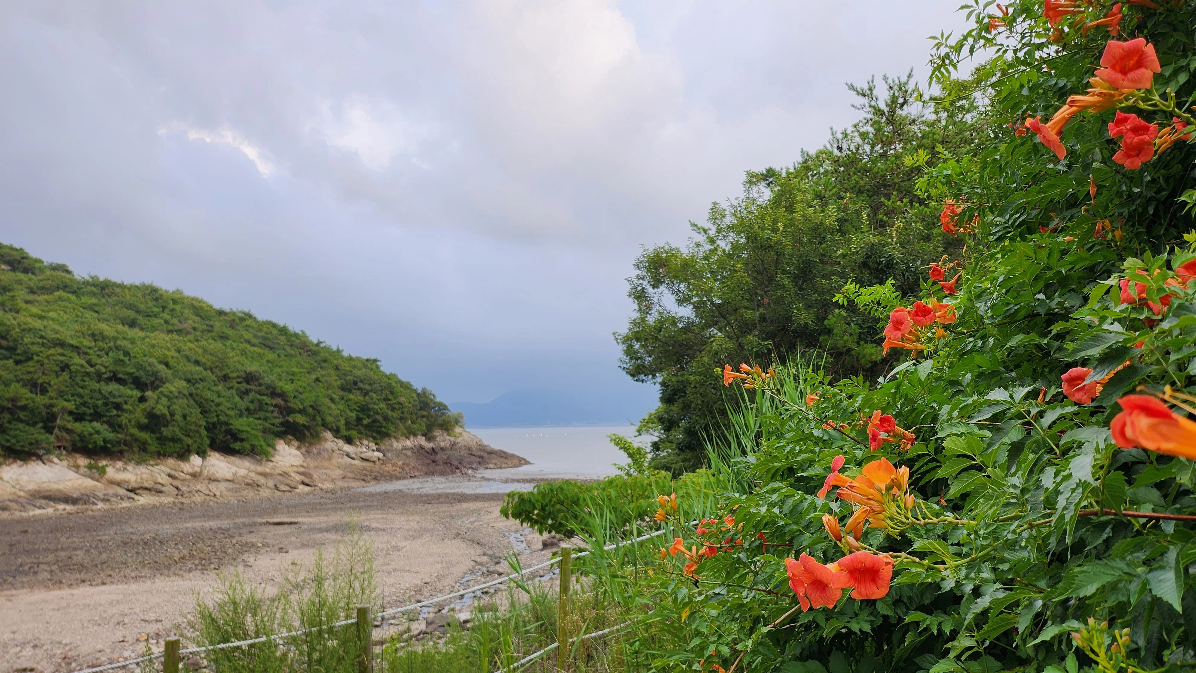 변산반도 휴양림 서해바다 풍경