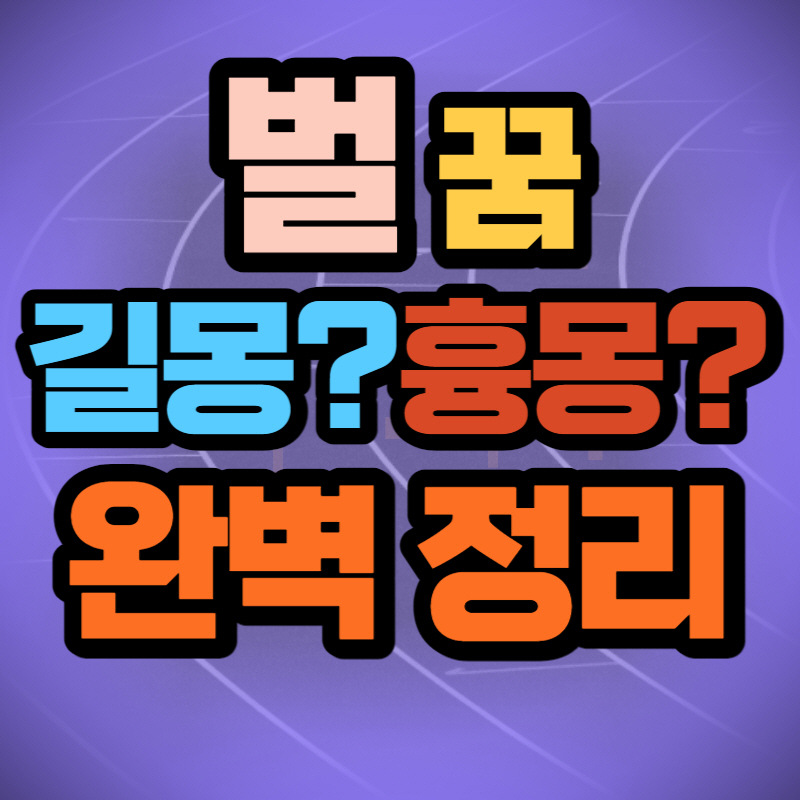 벌 꿈 해몽 (1)