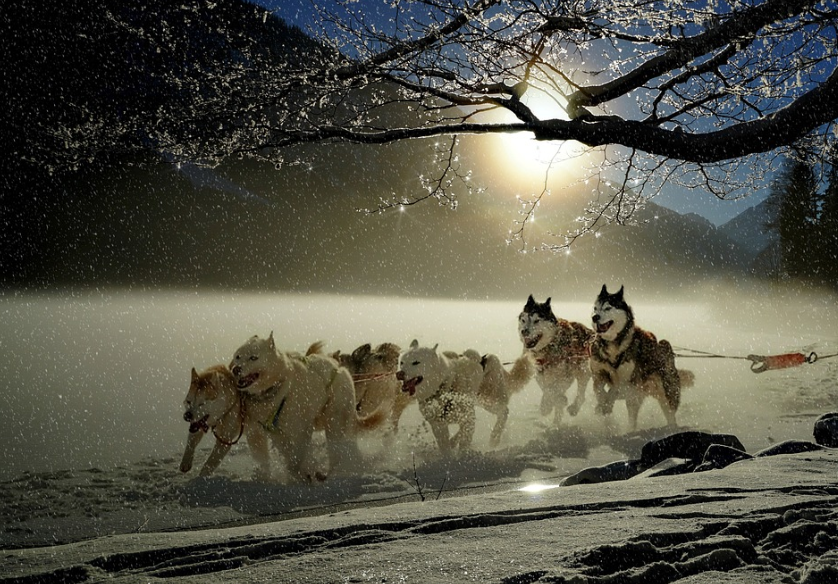 북미에서 즐길 수 있는 특별한 겨울 스포츠