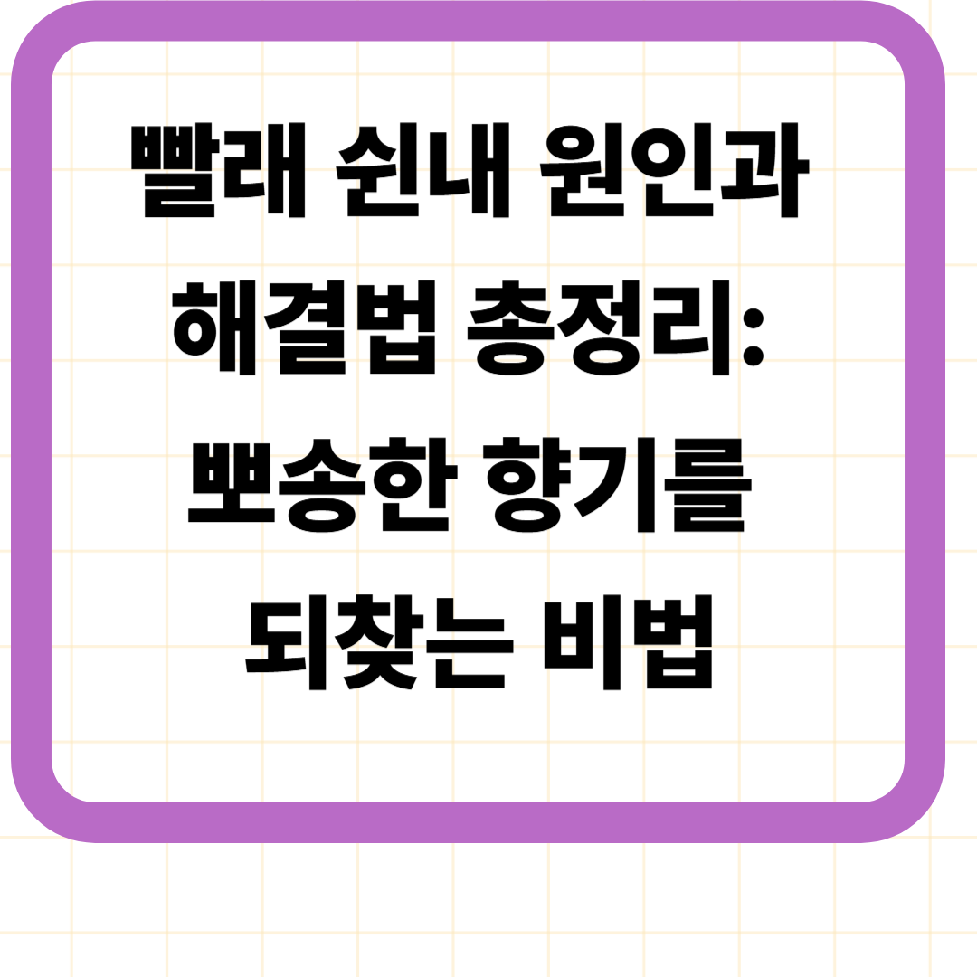 빨래 쉰내 원인과 해결법 총정리: 뽀송한 향기를 되찾는 비법