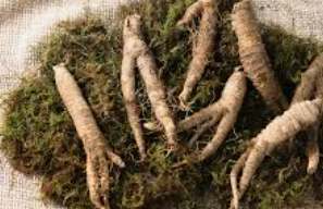 더덕구이 맛있게 하는법