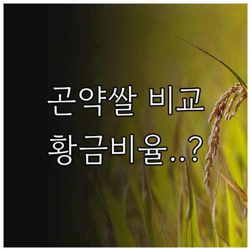 곤약쌀 유형별 특징 비교와 맛있게 밥..