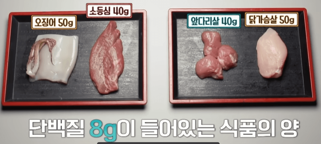단백질