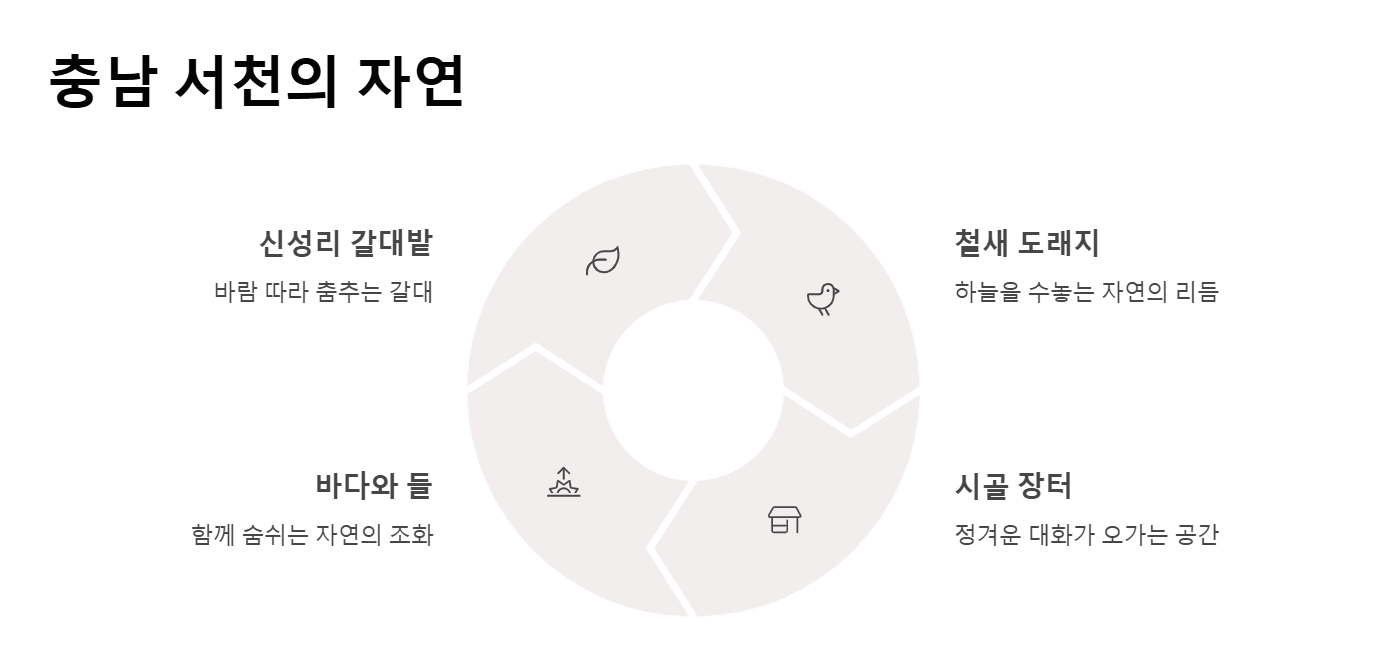시골여행의 매력 도심을 떠나 조용히 머무는 하루 시작