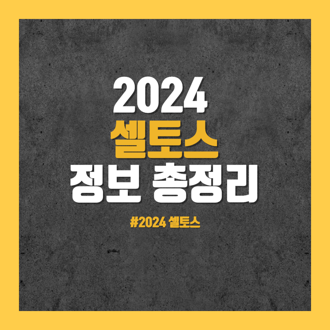 2024 셀토스 정보 총정리