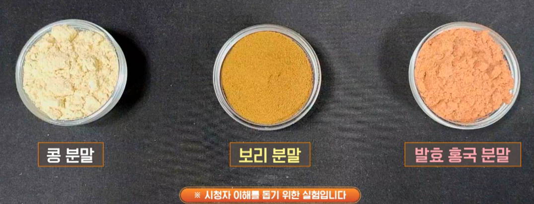 발효 홍국 효능