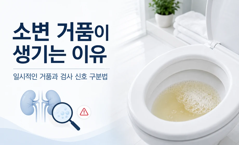 소변 거품이 생기는 이유와 단백뇨 검사 신호 구분법
