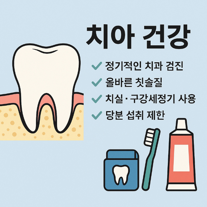 치아 건강
