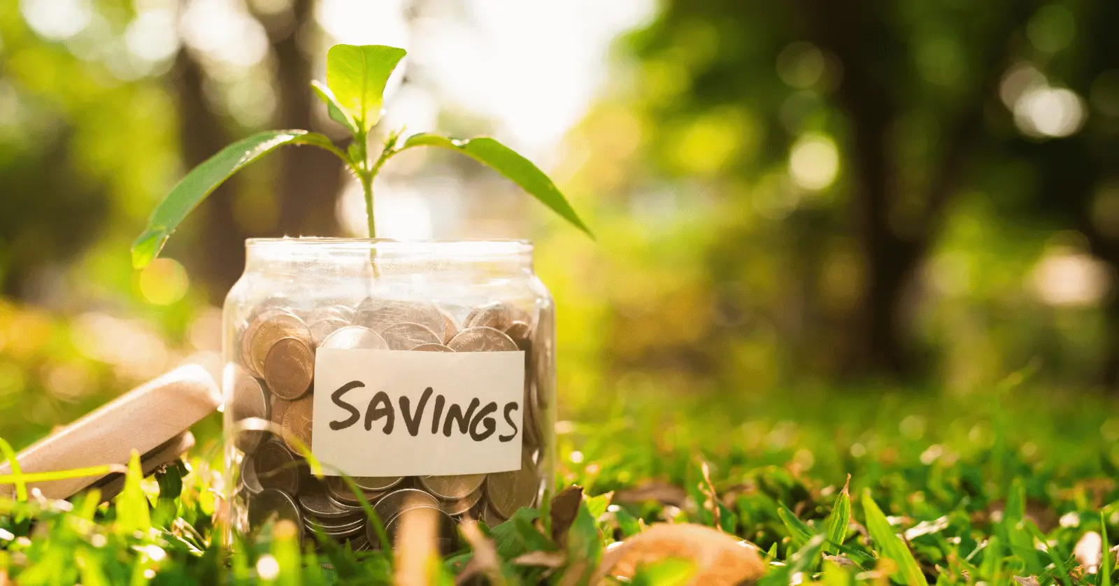 1억 예금 외 자산운용 대안 비교