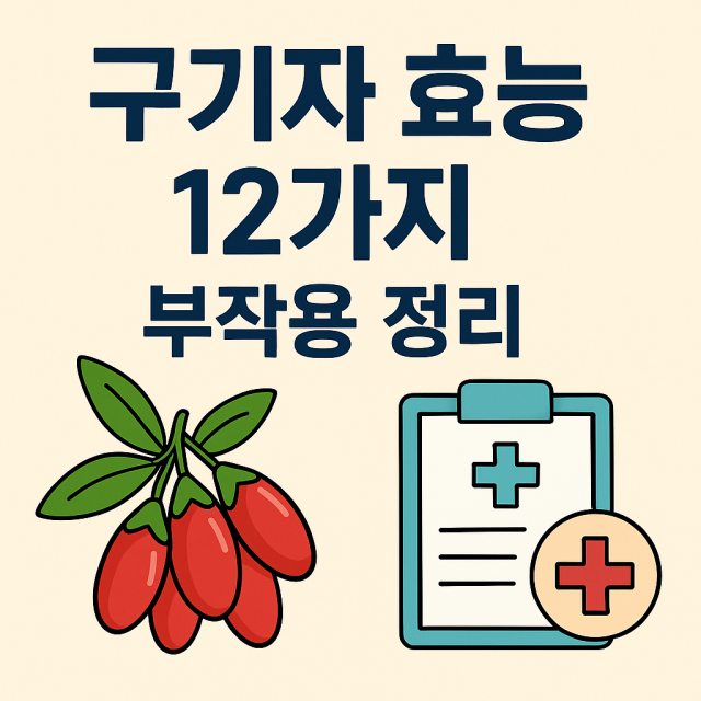 구기자 효능 12가지와 부작용을 정리한 대표 이미지로 붉은 구기자 열매와 건강 아이콘이 포함된 디자인