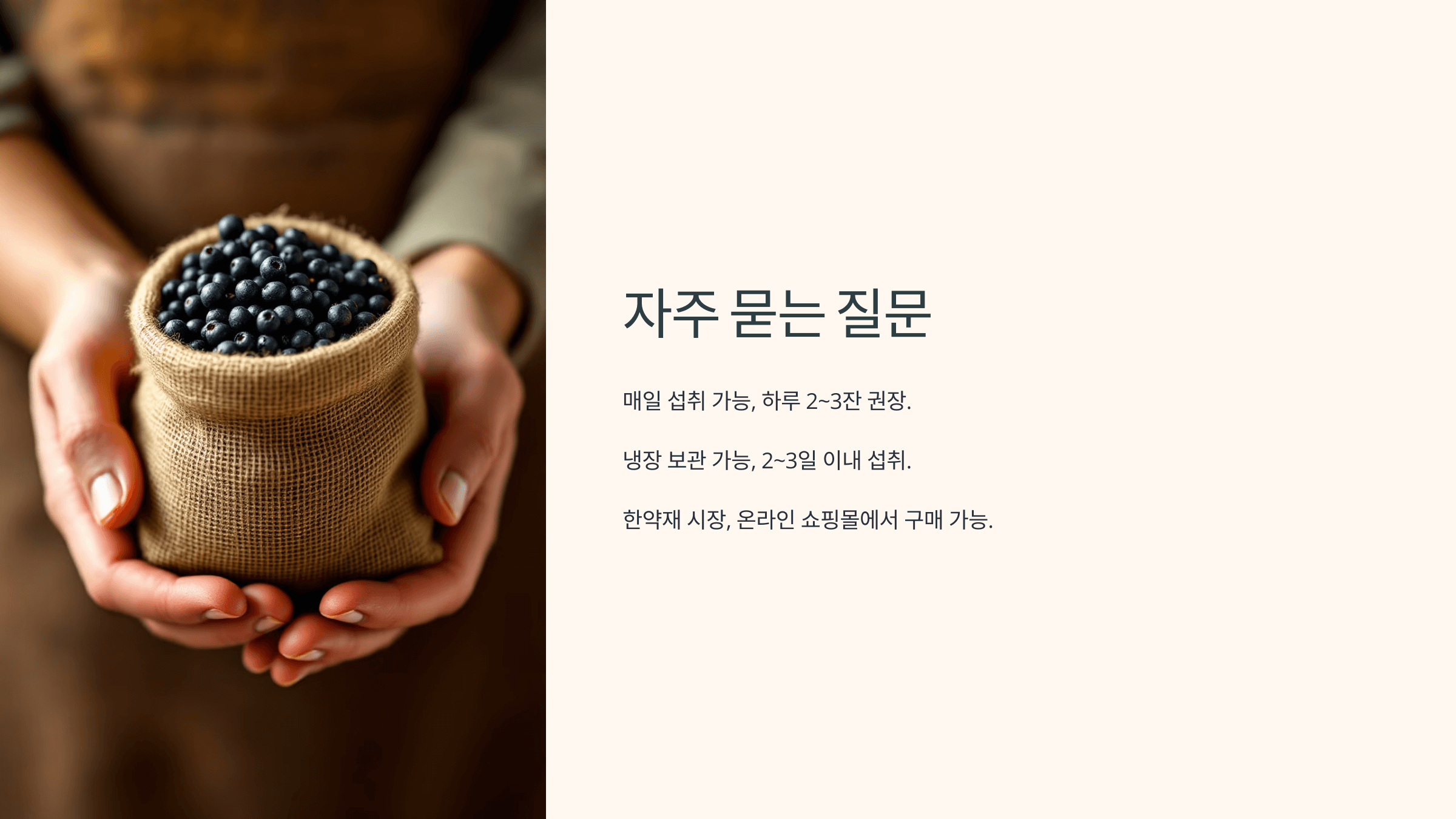 헛개나무 열매와 관련된 사진입니다.