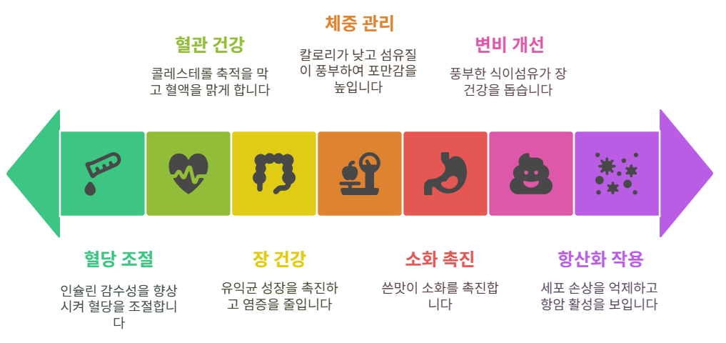 치콘 효능