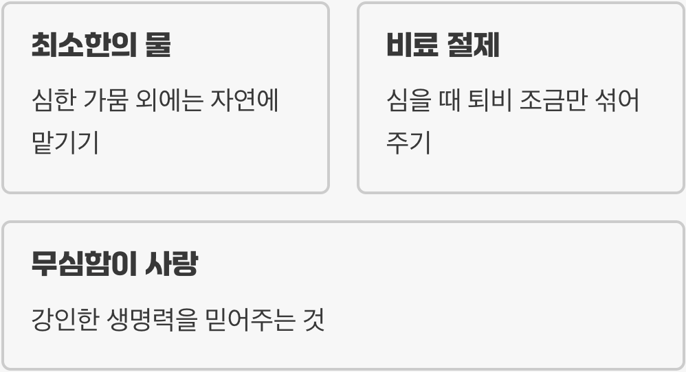 과한 사랑은 독, 무심한 듯 시크하게