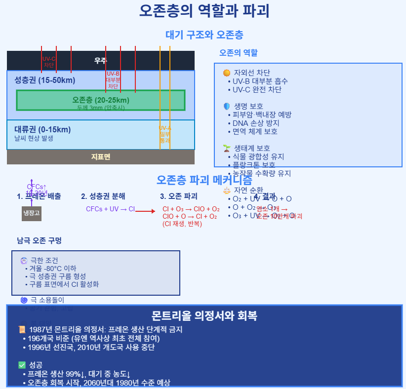 오존층의 역할과 파괴