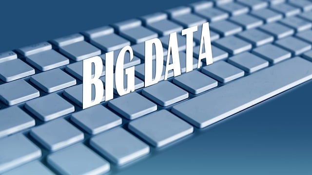 Big data in data analytics