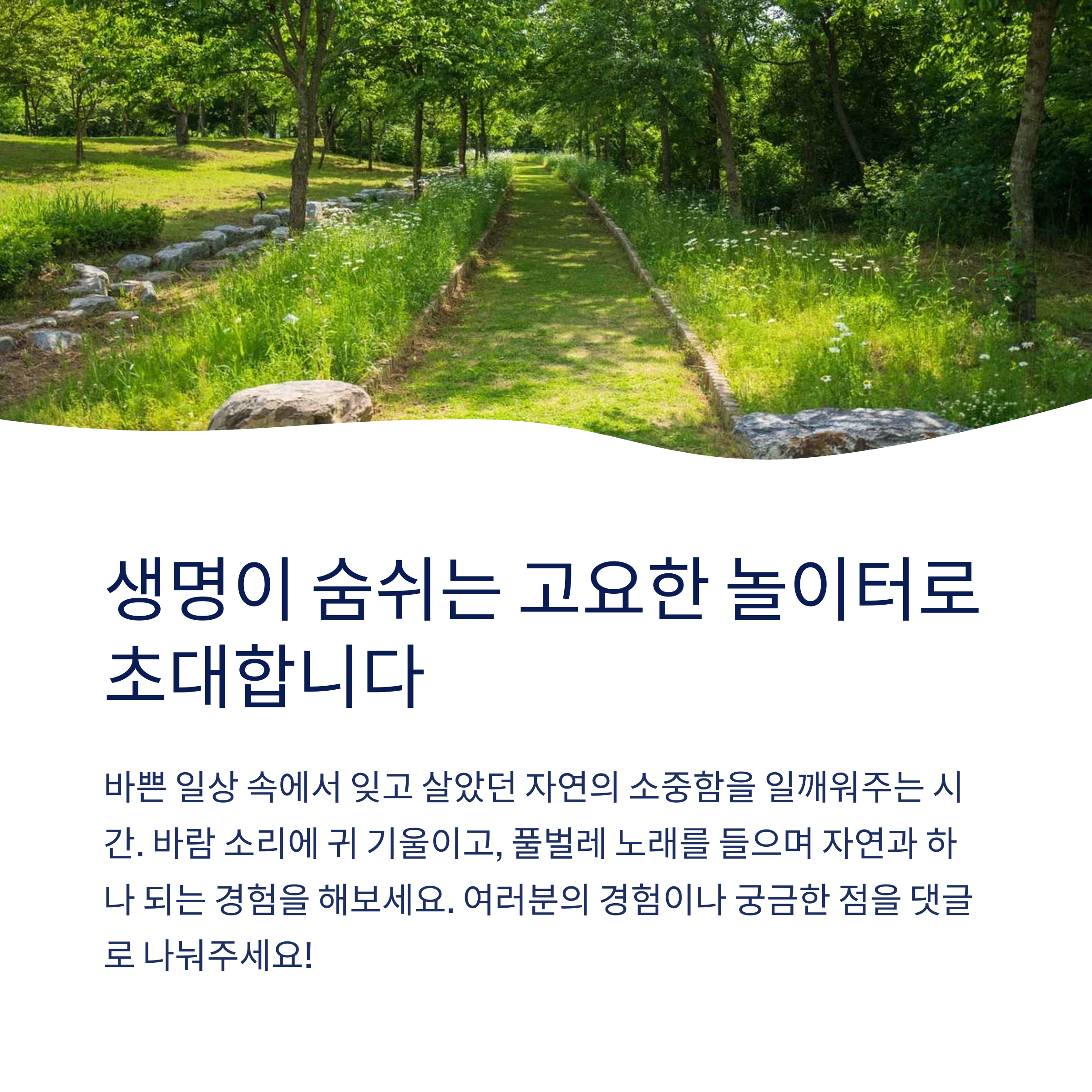 생명이 숨쉬는 고요한 놀이터