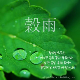 곡우 뜻 &amp;#124; 24절기 정리
