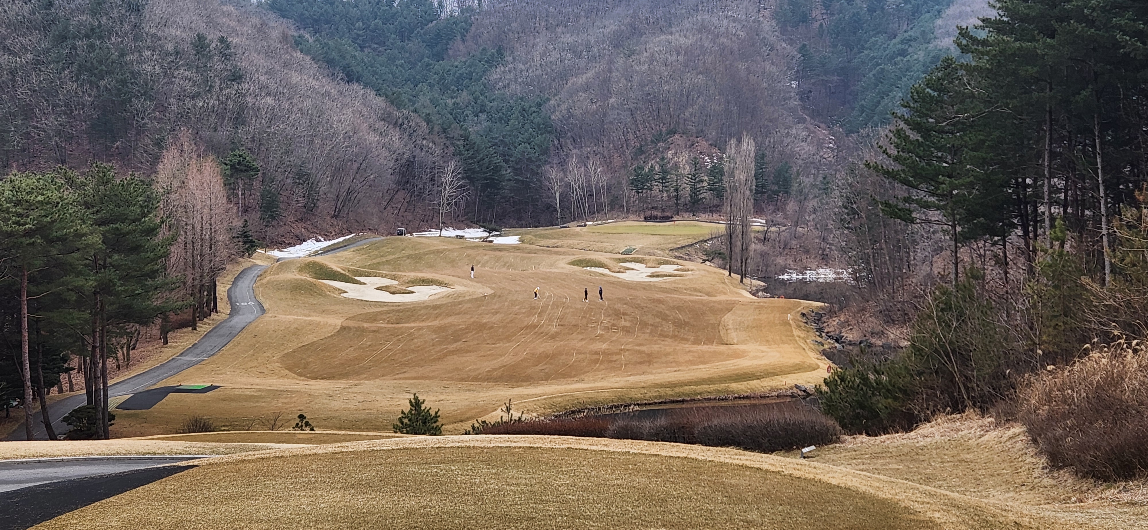 힐드로사이cc