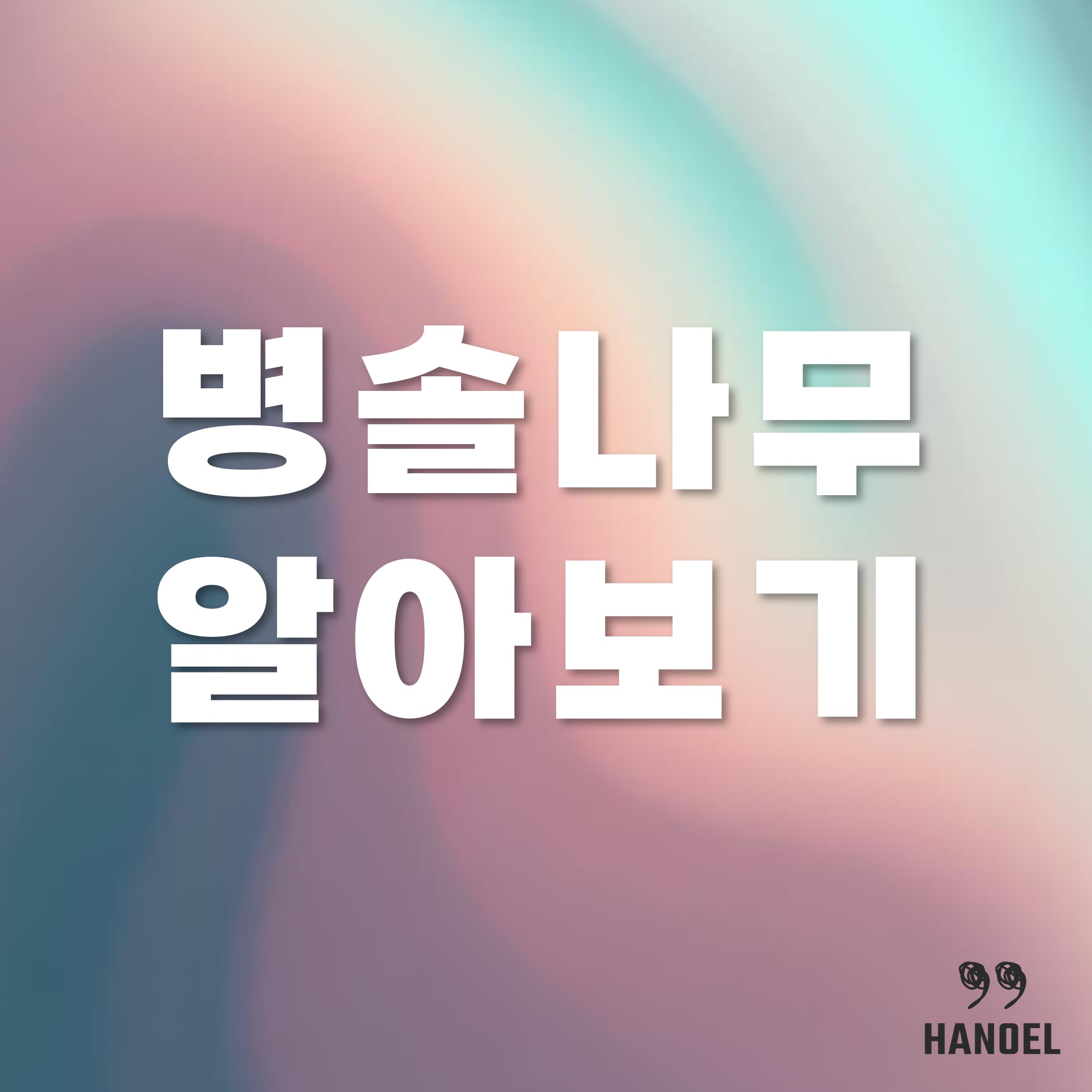 병솔나무 알아보기 키우기와 꽃말