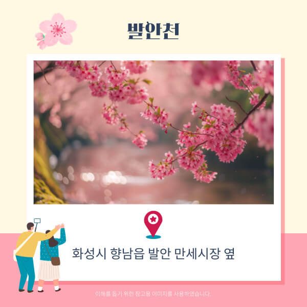 화성벚꽃명소-발안천