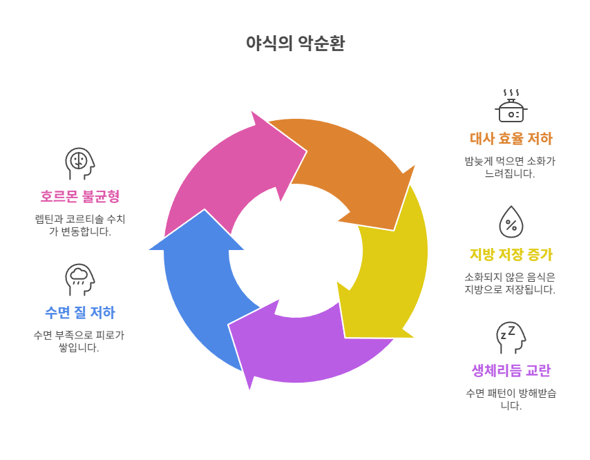 야식이 살찌는 이유를 넘어서