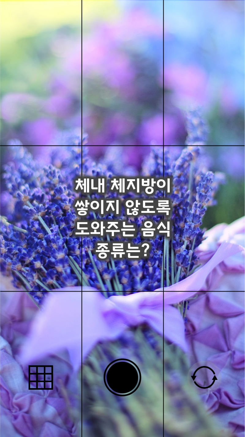 체내 체지방이 쌓이지 않는 음식