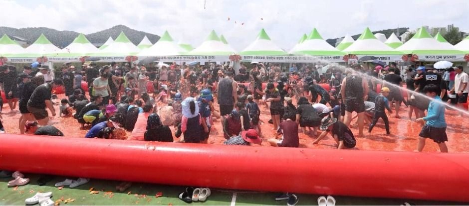 횡성 둔내고랭지 토마토축제