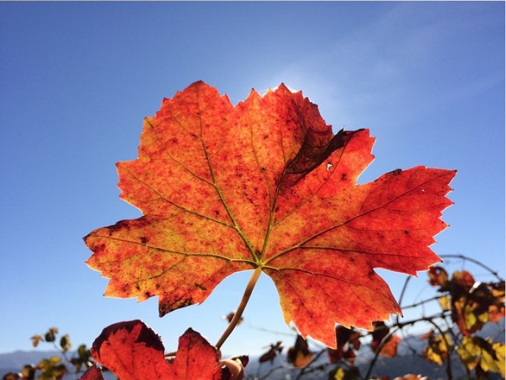 목요일-아침인사말