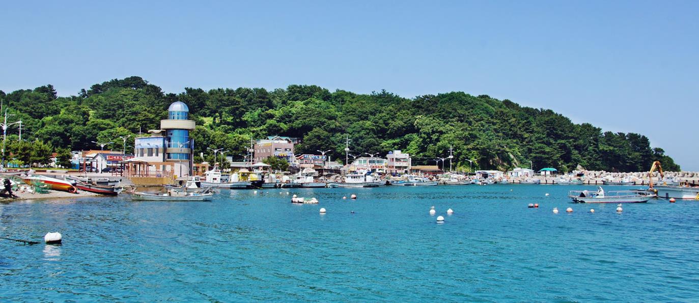 전촌항, 전촌솔밭해변