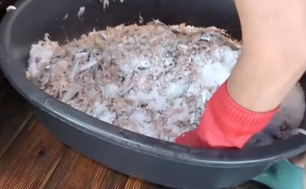 오늘N 수상한 가족 영광 설도항 새우젓 판매 신성호 주문방법