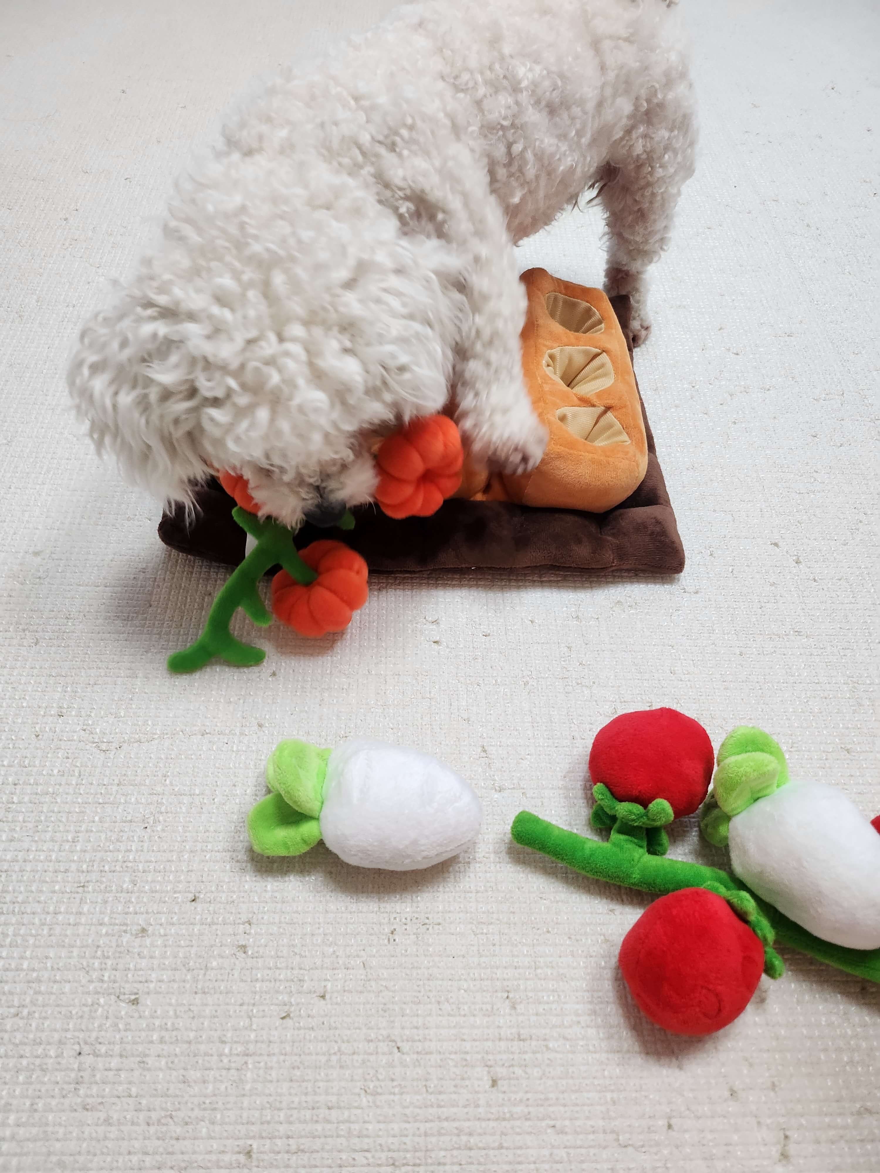 강아지 용품추천