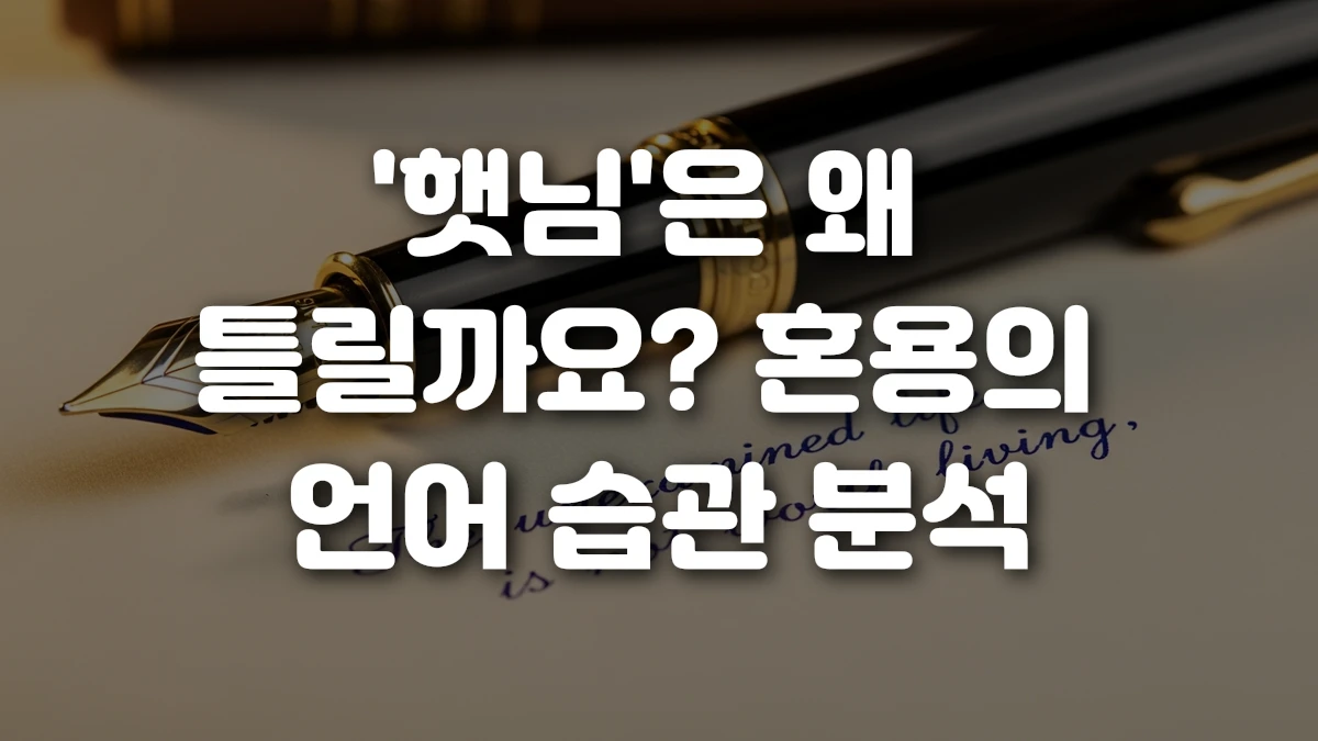 햇님 은 왜 틀릴까요 혼용의 언어 습관 분석