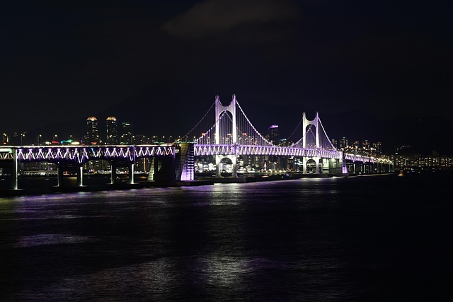 부산국제영화제 야경 + 영화 속 거리 풍경(=2025)