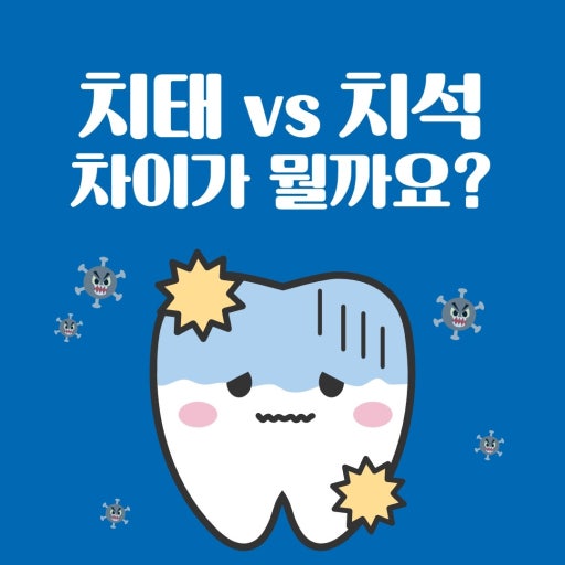 치태 vs 치석 차이 관련 사진