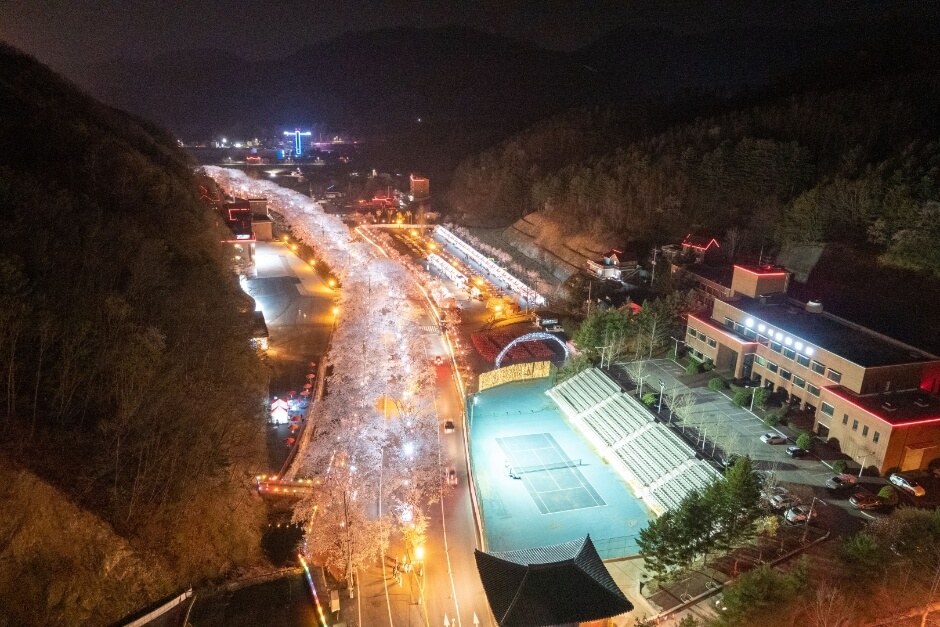 에덴벚꽃길 벚꽃축제