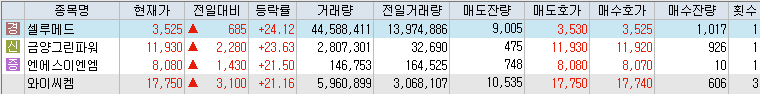 상승률-상위-종목-리스트-캡처-이미지