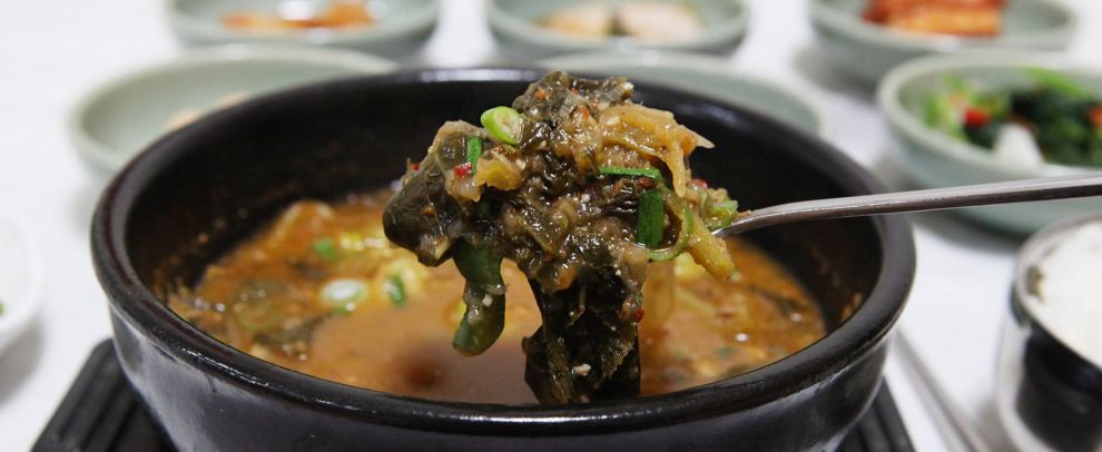 강진 수국축제