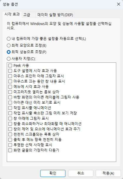 시스템 설정 성능 옵션