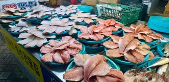 속초관광수산시장