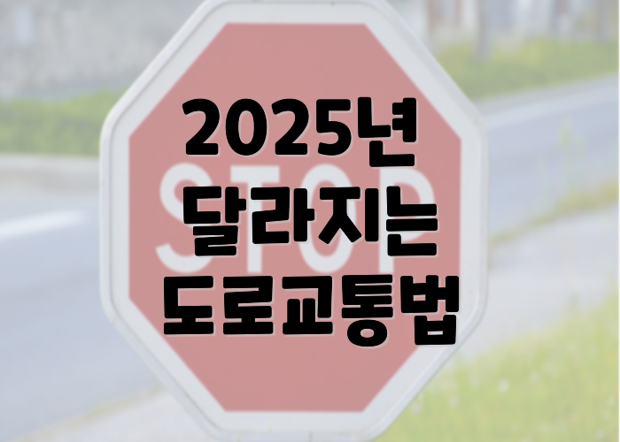 2025년 달라지는 도로교통법
