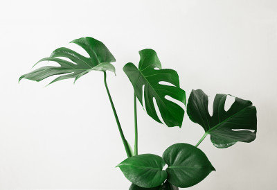 장마철습기관리